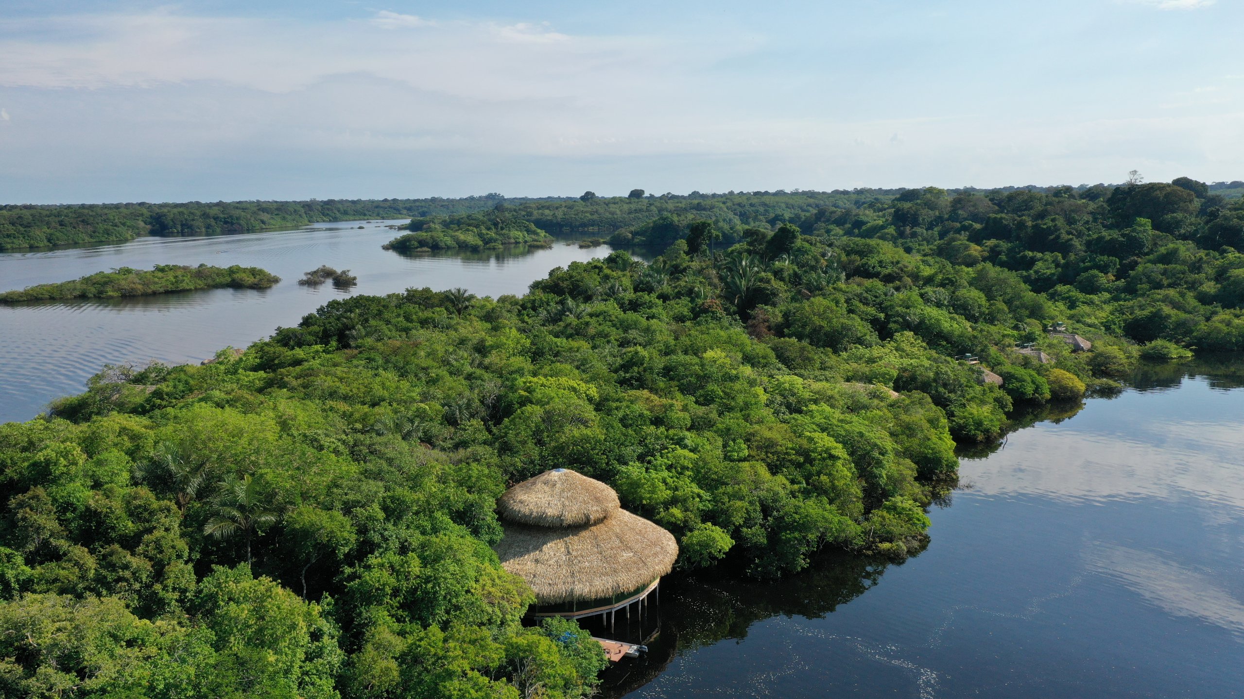 jungle hotel