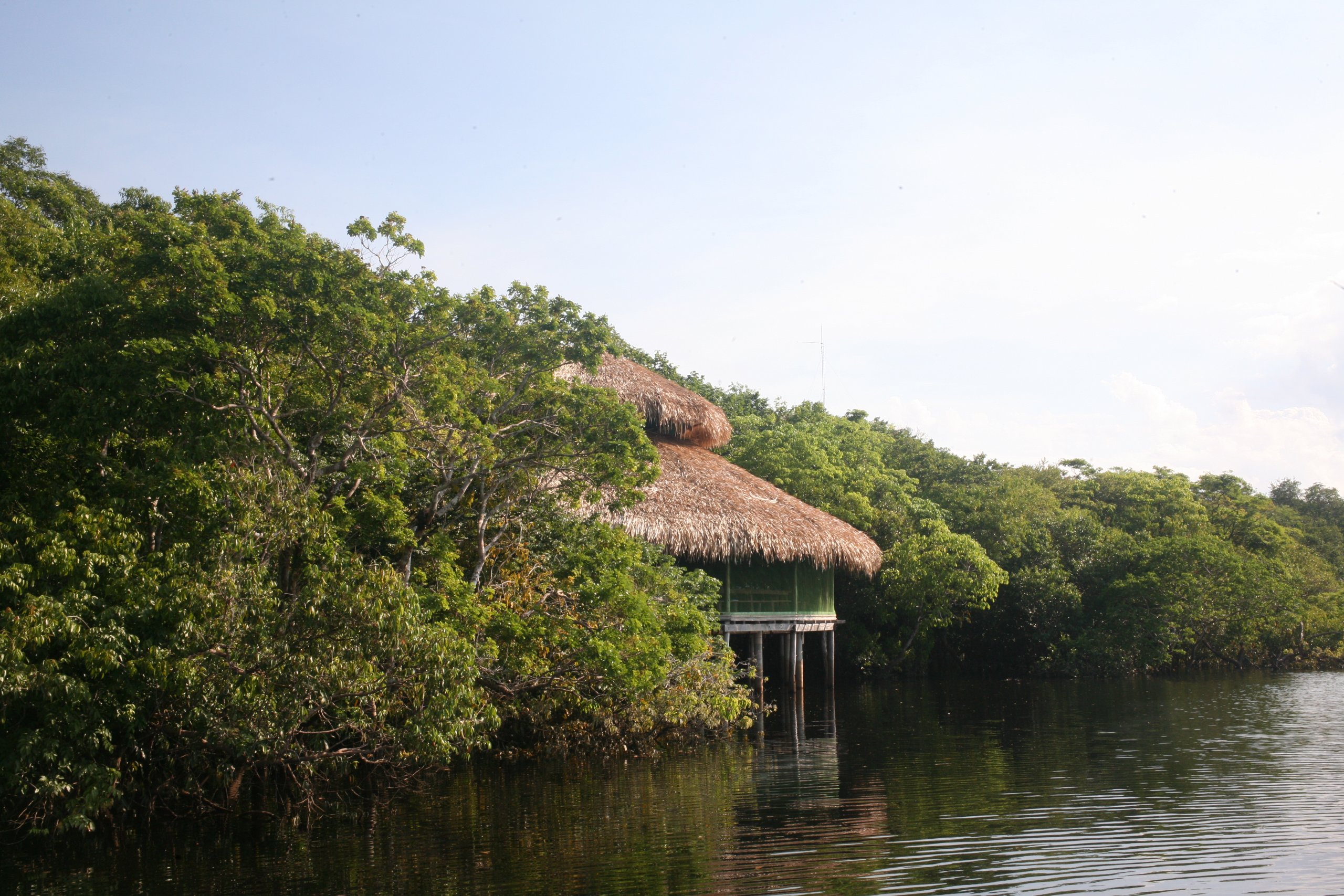 restaurante do juma lodge