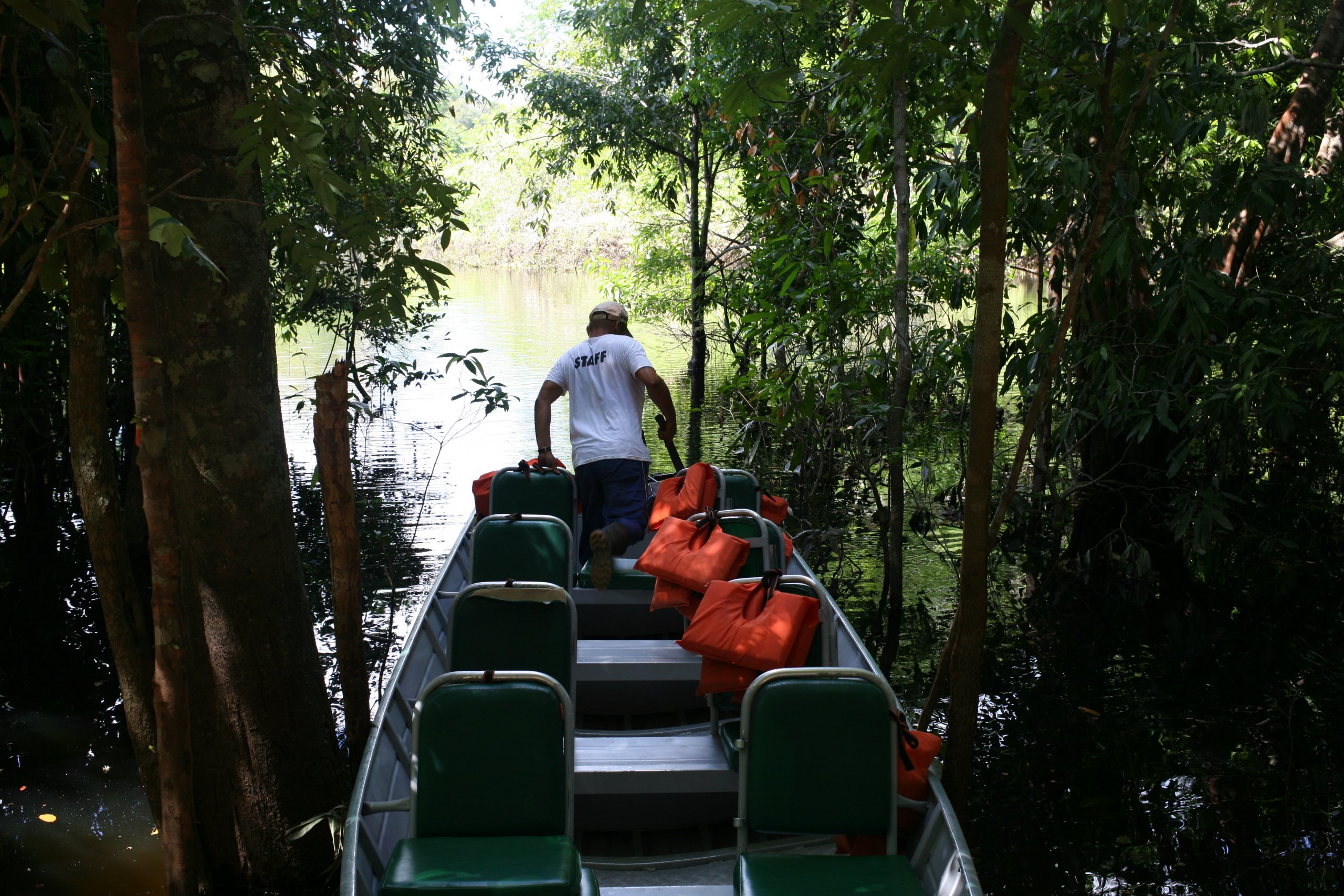 jungle lodge