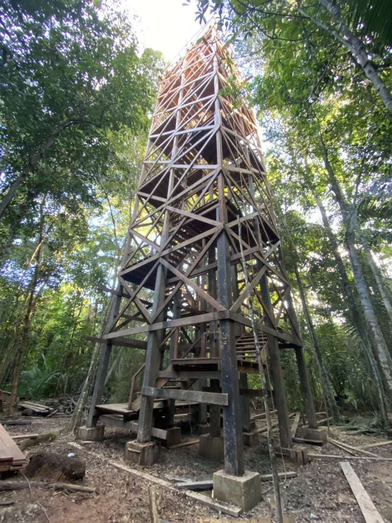 observation tower at juma amazon lodge