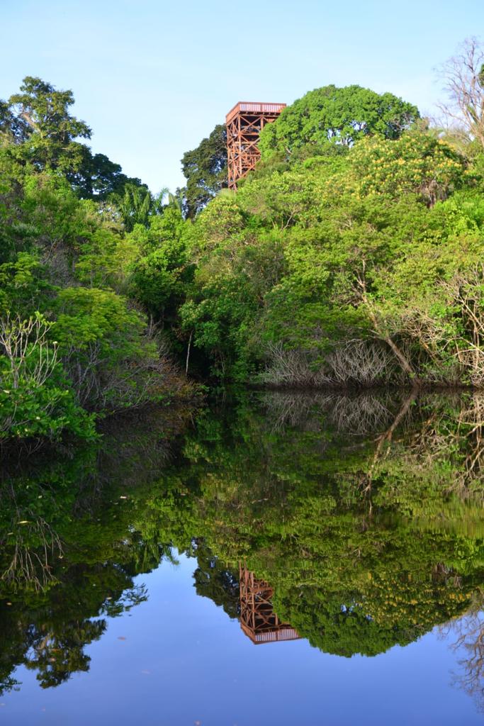 observation tower at juma lodge