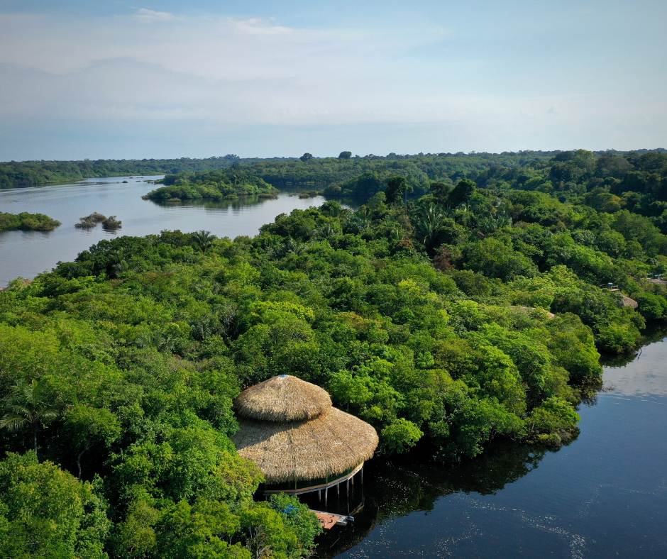 hotel de selva ecolodge